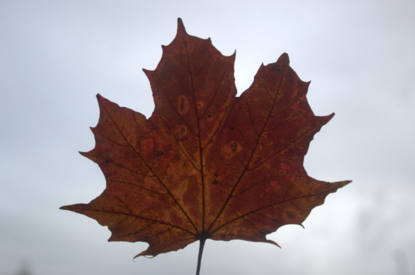 Y10 Photography Car Park Wander